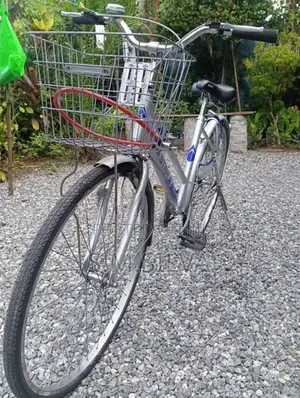 Kenton Japan Bicycle