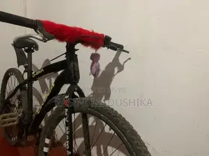Orbea Racing Bicycle