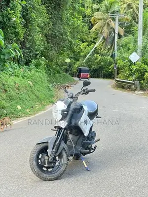 Honda Navi 2017