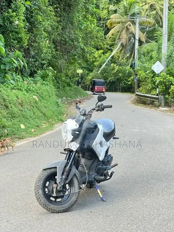 Honda Navi 2017