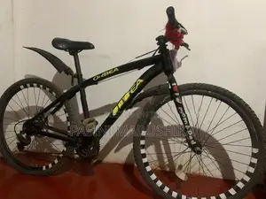 Orbea Racing Bicycle