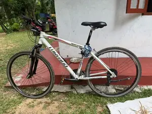 Tornado Bicycle
