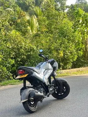 Honda Navi 2017