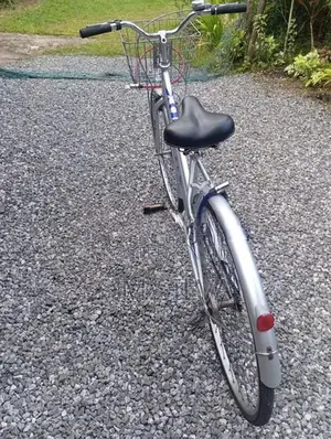 Kenton Japan Bicycle