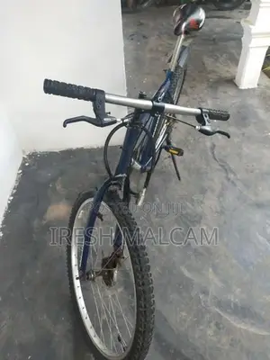 Mountain Bicycle