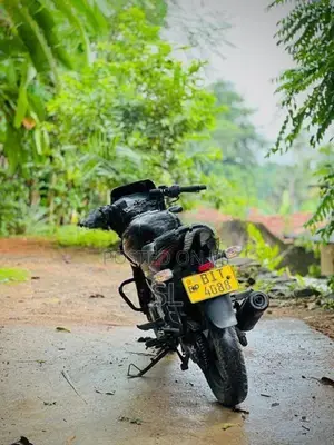 Bajaj Pulsar 150 Twin Disc 2020