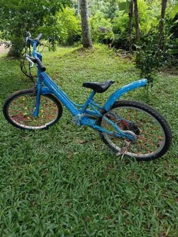 Bicycle