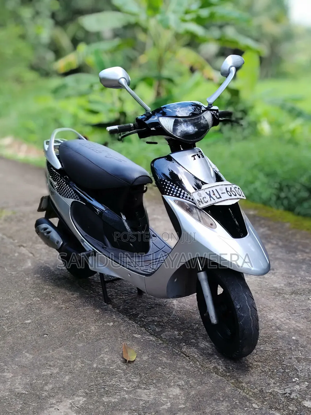 TVS 2012