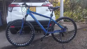 AVRL mountain bike
