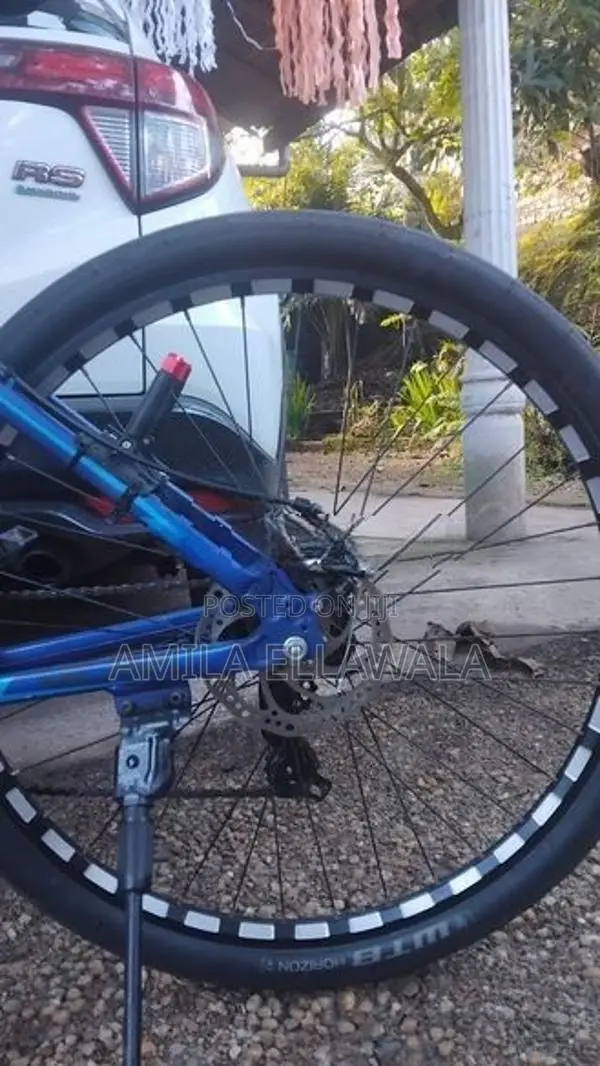 AVRL mountain bike
