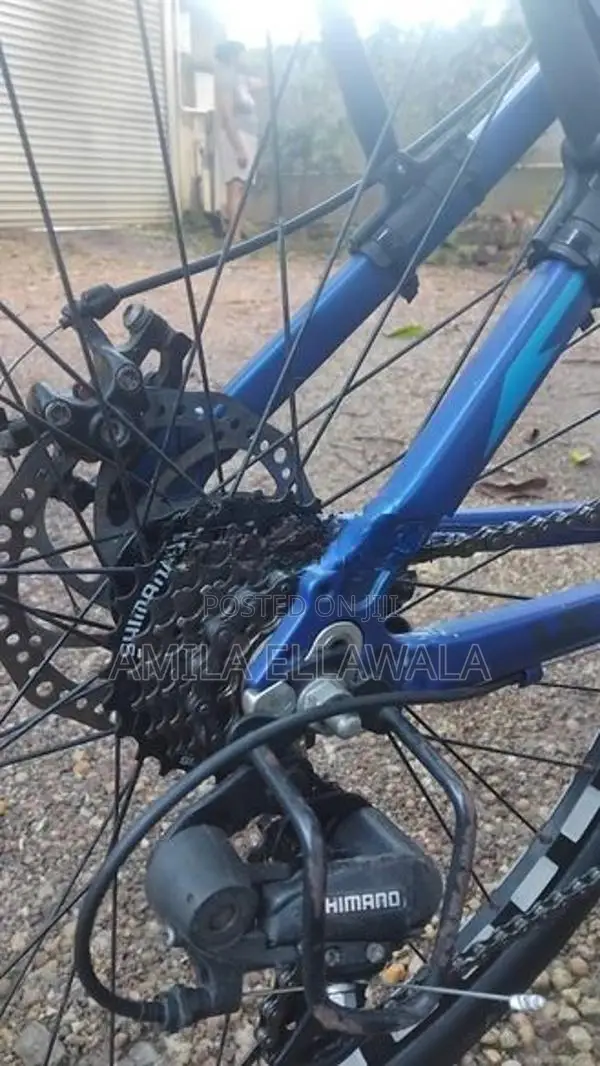 AVRL mountain bike
