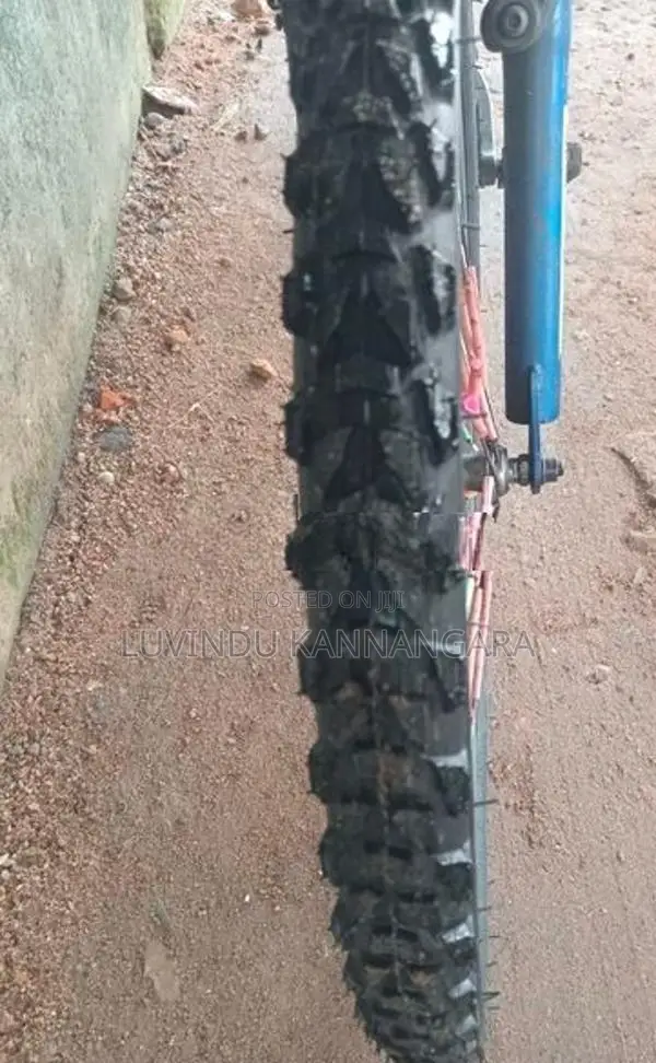 Tomahawk GMT dual shock bicycle