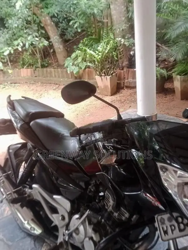 Bajaj Pulsar 135 2014