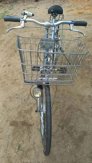 Bridgestone Bicycle