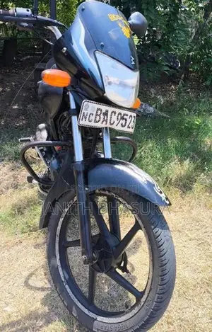 Bajaj Platina 2013