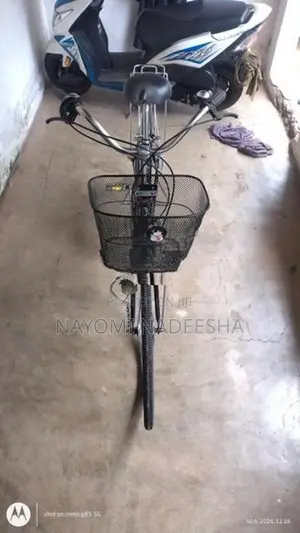 Ladies Bicycle