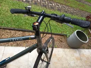 Lassig Brand Japan Bicycle