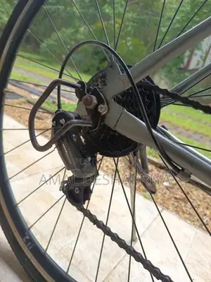 Lassig Brand Japan Bicycle
