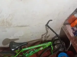 Alfa Sonic Bicycle