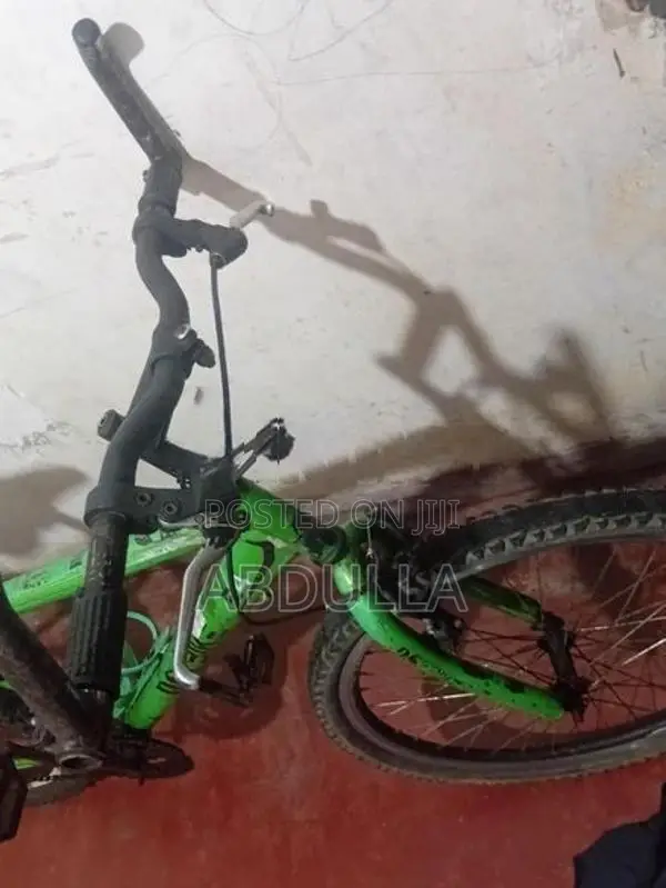 Alfa Sonic Bicycle