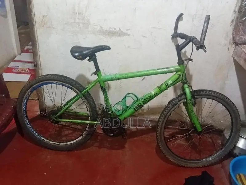Alfa Sonic Bicycle