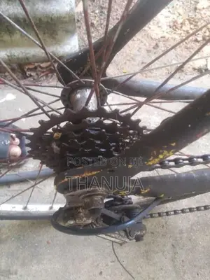 Bicycle