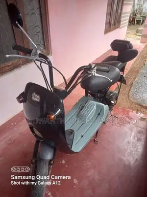 Suzuki Choi Nori 2023