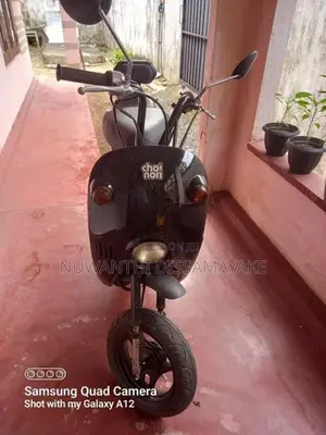 Suzuki Choi Nori 2023