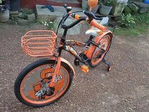 Safari Bicycle 20’ Size