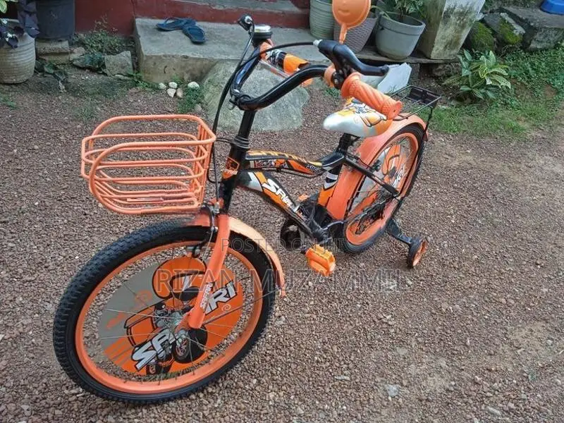 Safari Bicycle 20’ Size