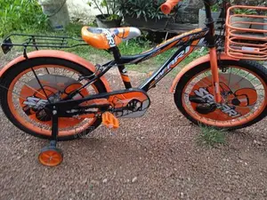Safari Bicycle 20’ Size