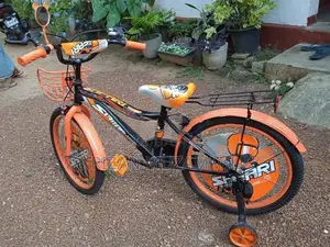 Safari Bicycle 20’ Size