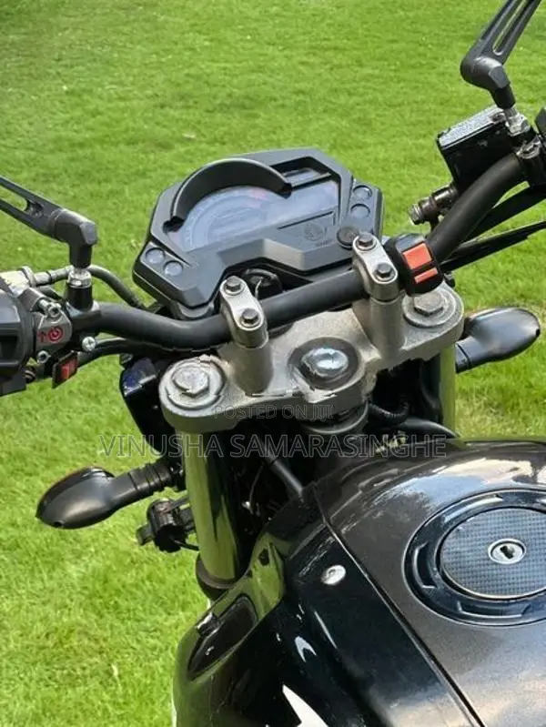 Yamaha FZ 2013
