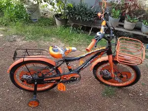 Safari Bicycle 20’ Size