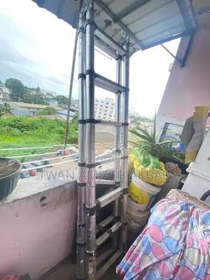 Telescopic Aluminum Ladder