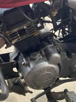 Bajaj Platina 2009