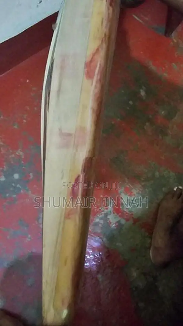 Premium English Willow Cricket Bat