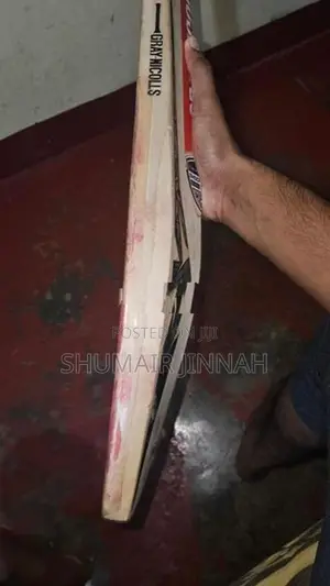 Premium English Willow Cricket Bat