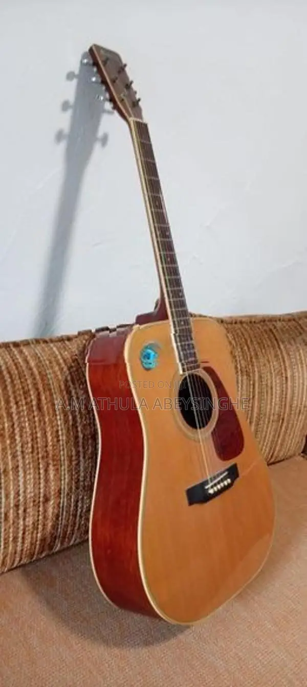 Morris Guitar