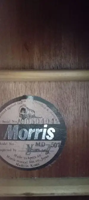 Morris Guitar