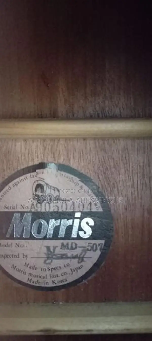 Morris Guitar