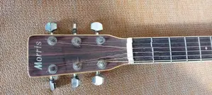 Morris Guitar