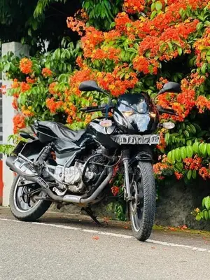 Bajaj Pulsar 150 2016