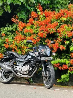 Bajaj Pulsar 150 2016