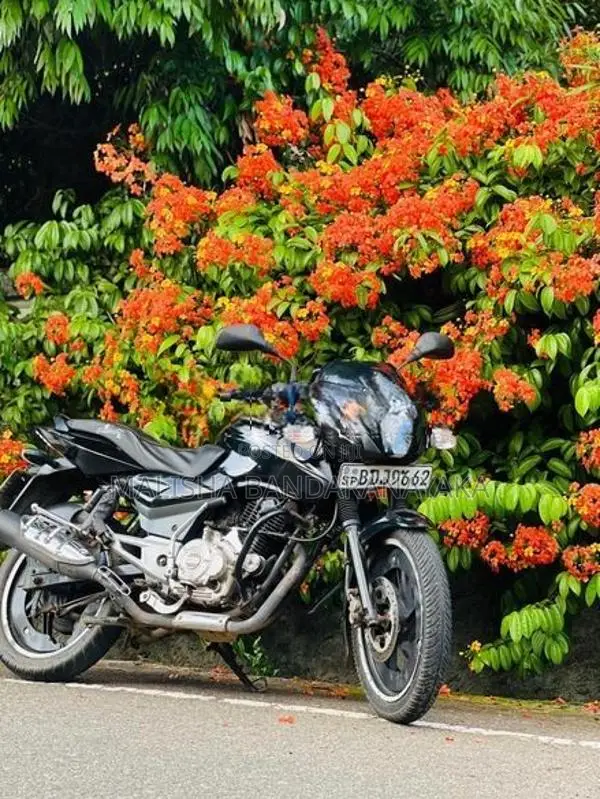 Bajaj Pulsar 150 2016