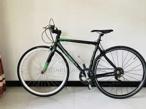 Giant Road Bicycle