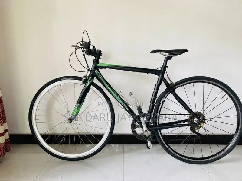 Giant Road Bicycle