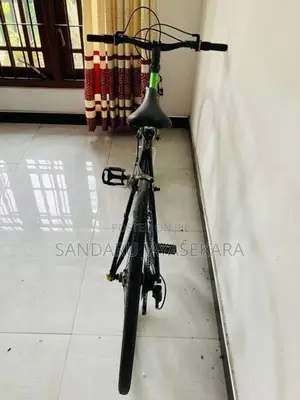 Giant Road Bicycle
