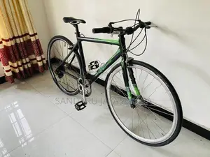 Giant Road Bicycle