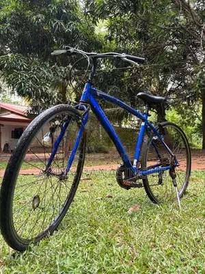 Japan Bicycle
